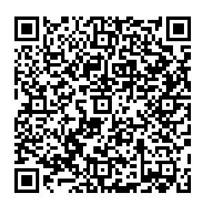 QR code — scan with your phone to open DropCard AI free in your browser